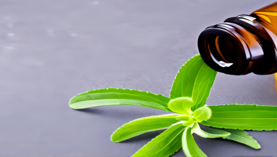 甜叶菊提取物：一种高效、安全、天然的甜味剂和抗氧化剂