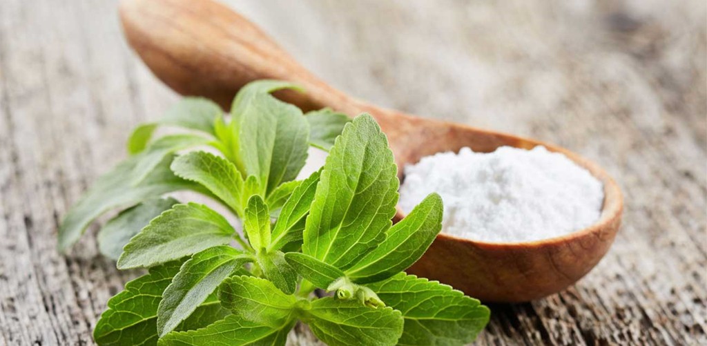 stevia-plant_副本